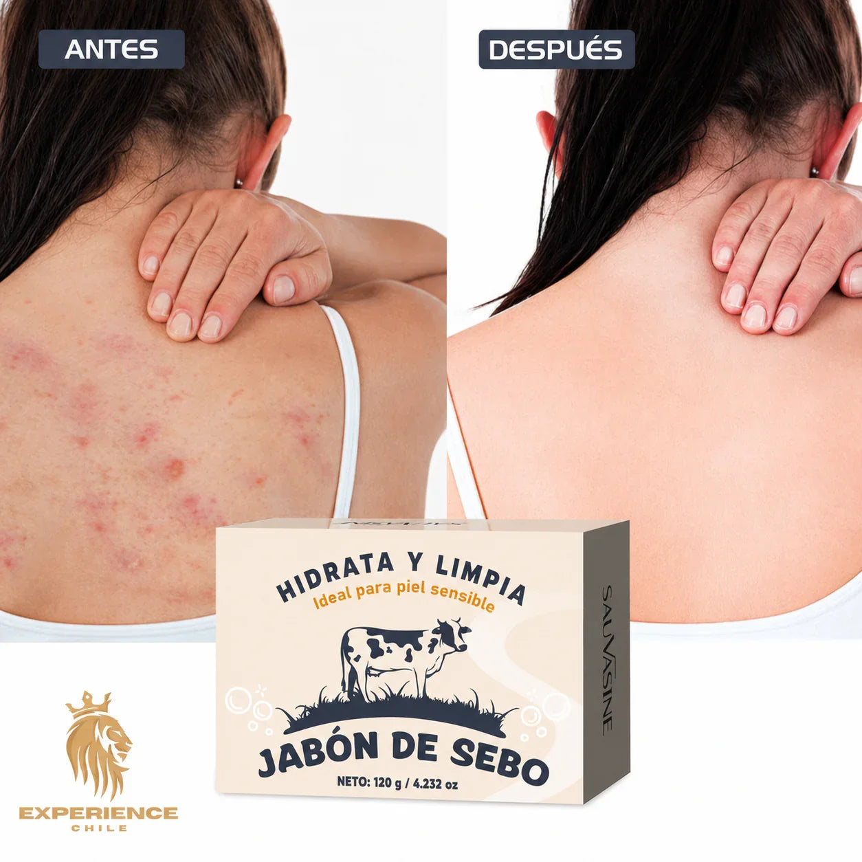 0ff0154e-a30d-4052-8551-85bfa25441ee049391 - CHILE EXPERIENCIA