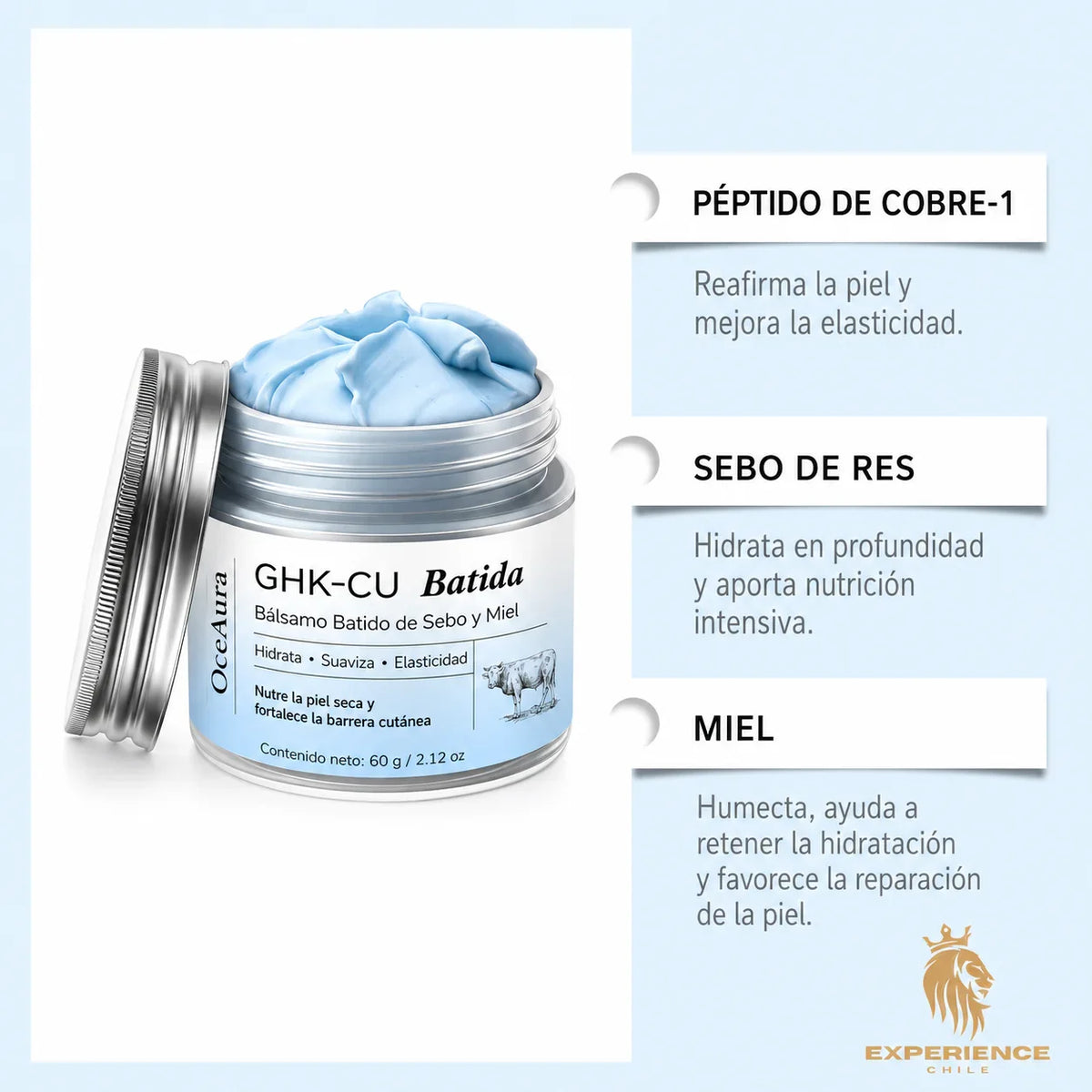369298c1-92d8-43b9-9b42-fdac5f72bc1a300312 - CHILE EXPERIENCIA