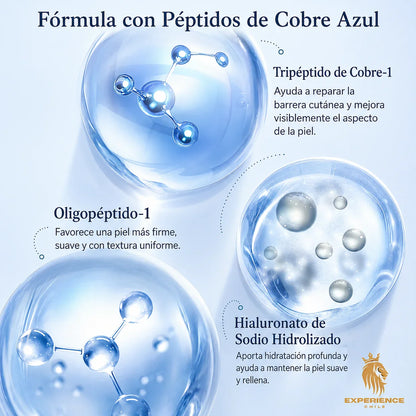 493c2de0-066e-4339-b975-d0c6bcbc84c8834409 - CHILE EXPERIENCIA