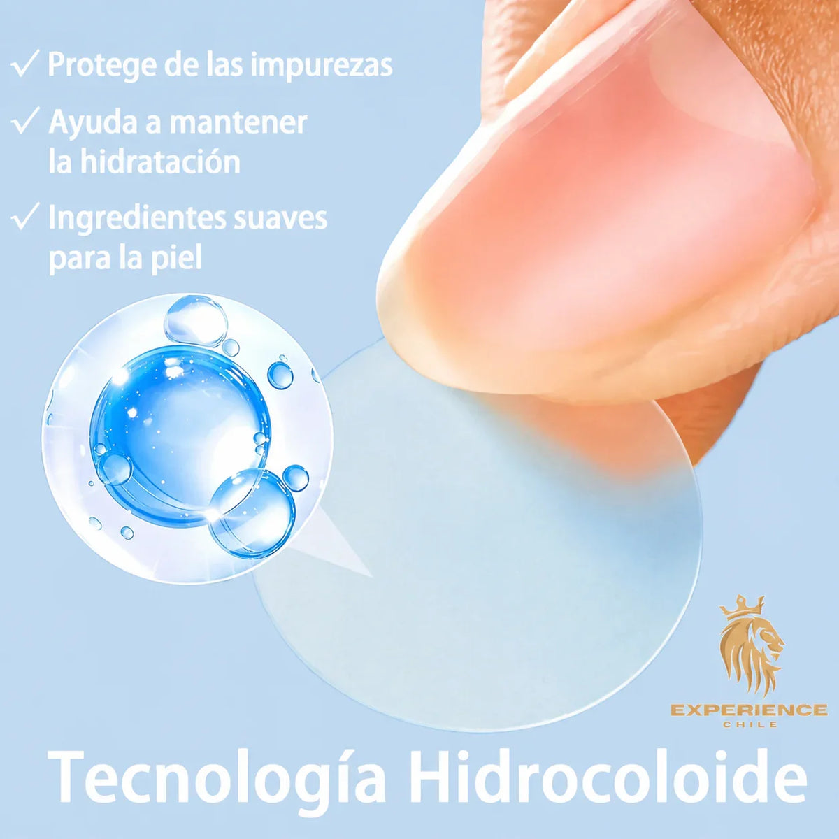 56947222-f642-446b-874e-12920fc3d5fd610741 - CHILE EXPERIENCIA