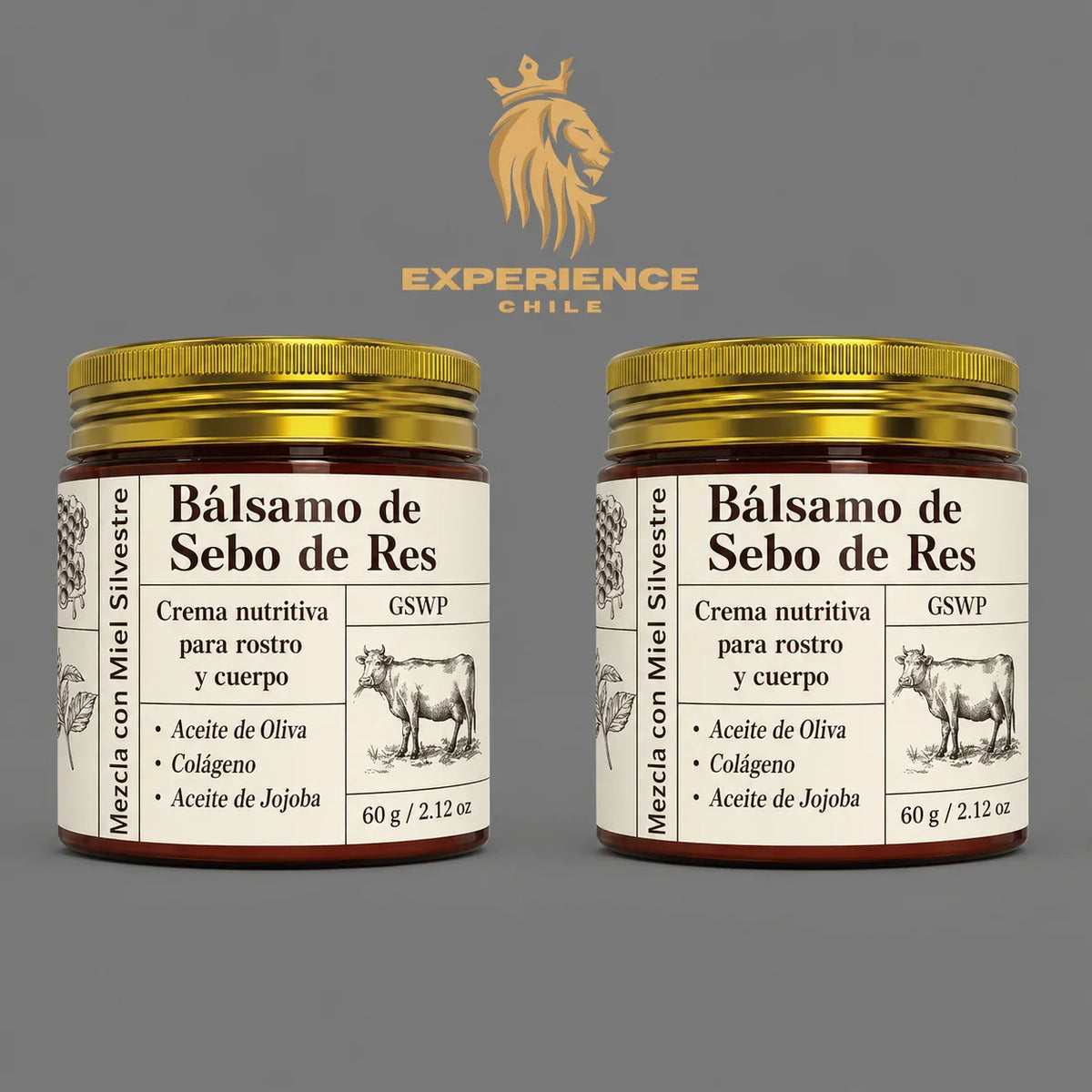 5789591b-d112-4301-b8e1-7b11a083c553363067 - CHILE EXPERIENCIA