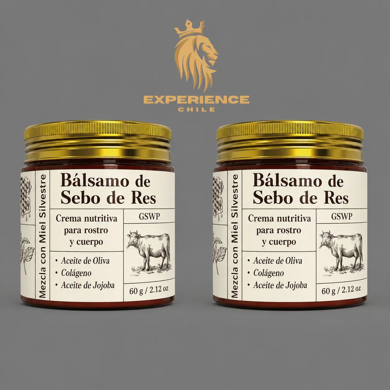 5789591b-d112-4301-b8e1-7b11a083c553363067 - CHILE EXPERIENCIA