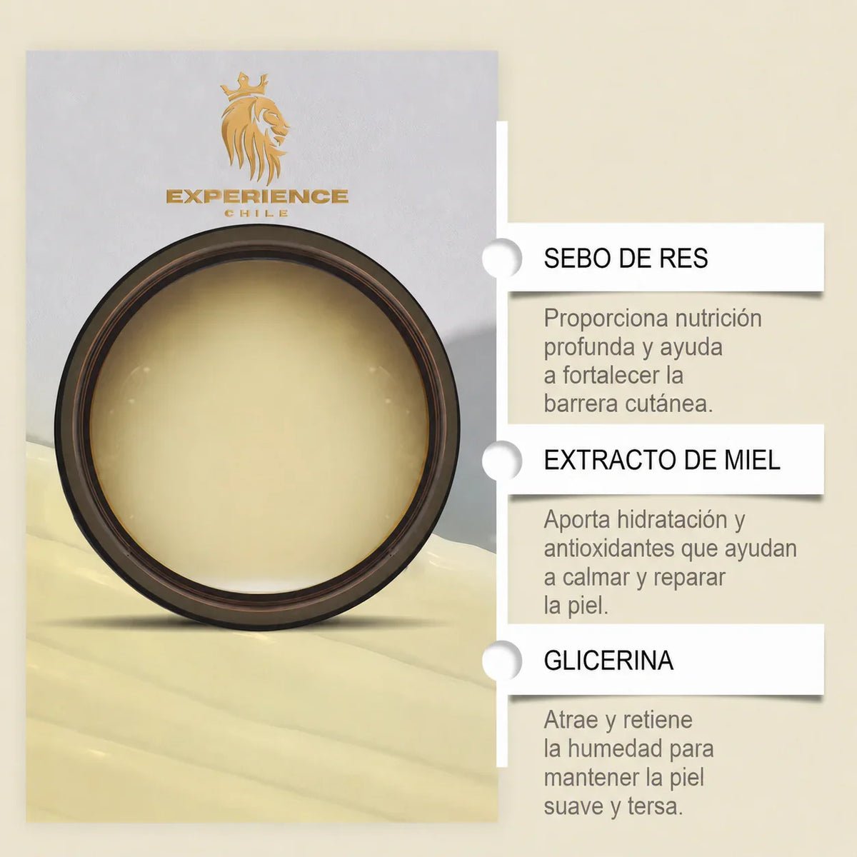 8091225e-36fc-43c4-a7b2-dd68105ef9ec737624 - CHILE EXPERIENCIA