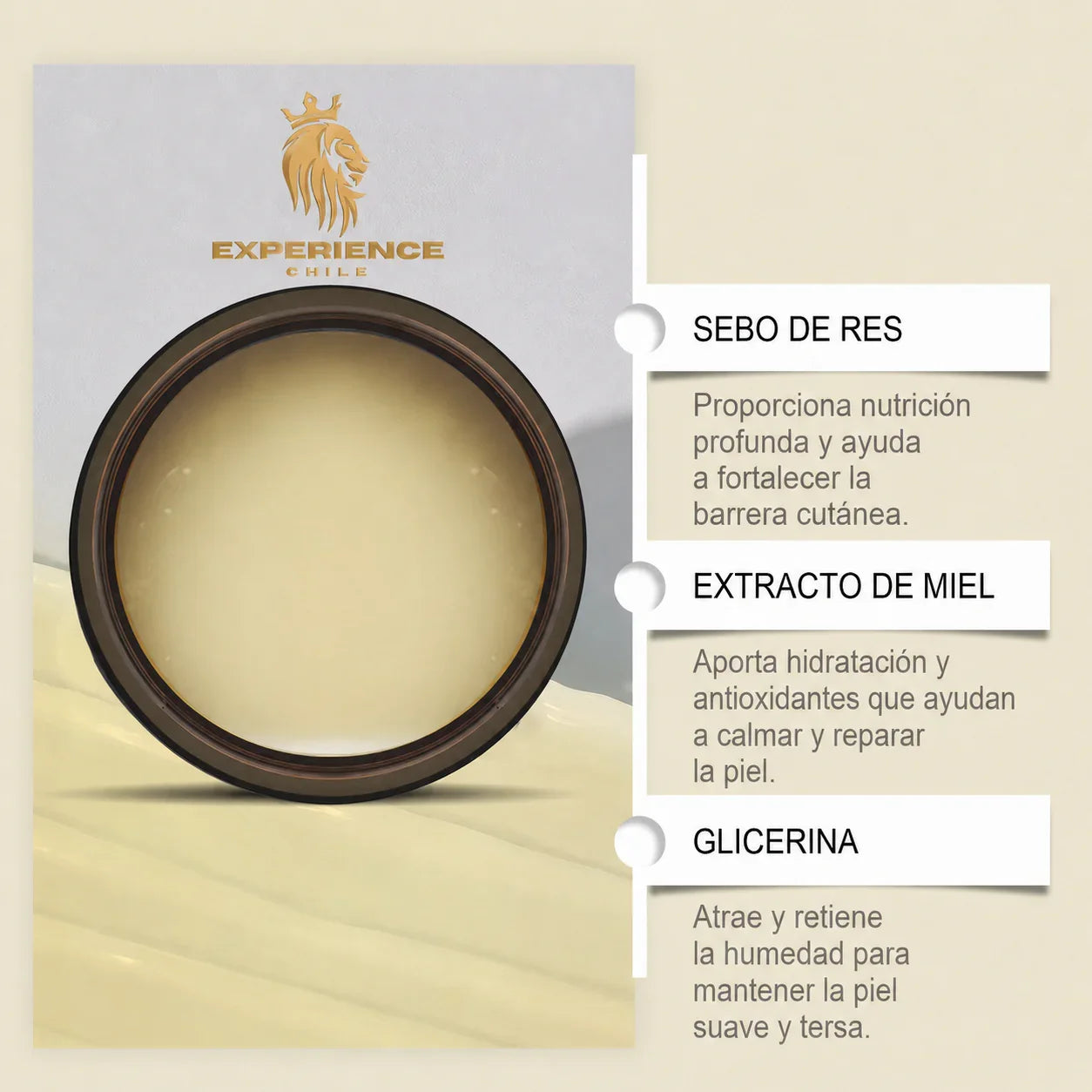 8091225e-36fc-43c4-a7b2-dd68105ef9ec737624 - CHILE EXPERIENCIA