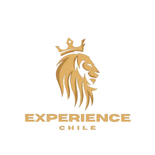 Cinzel_Decorative - CHILE EXPERIENCIA