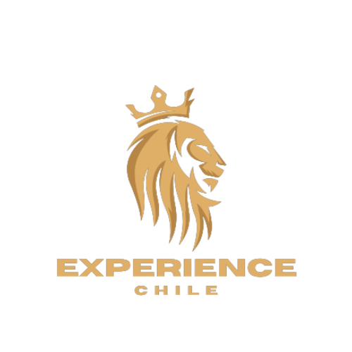 CHILE EXPERIENCIA