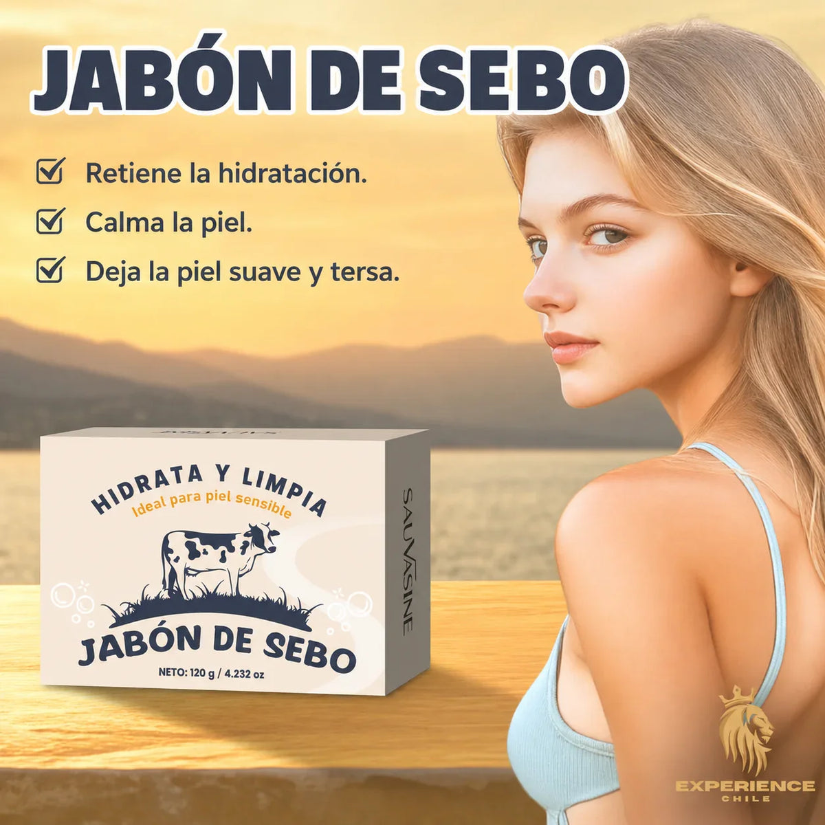 b328502c-5807-4d88-838d-2692c69b655a034146 - CHILE EXPERIENCIA