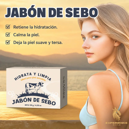b328502c-5807-4d88-838d-2692c69b655a034146 - CHILE EXPERIENCIA