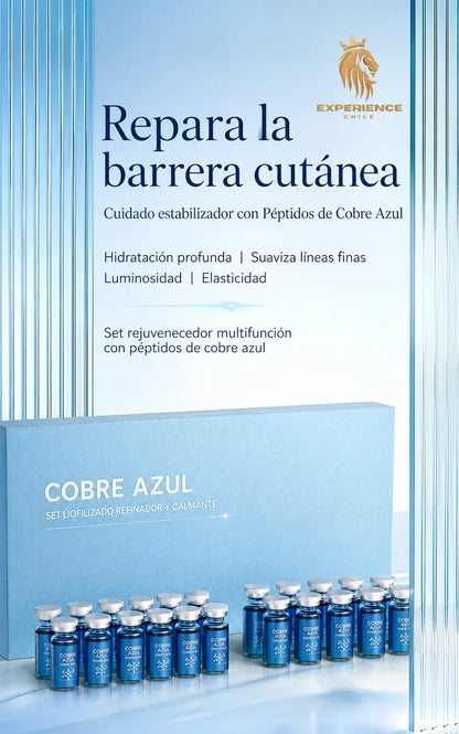 ba538958-0b04-4c63-81da-dc56c68e538d845970 - CHILE EXPERIENCIA