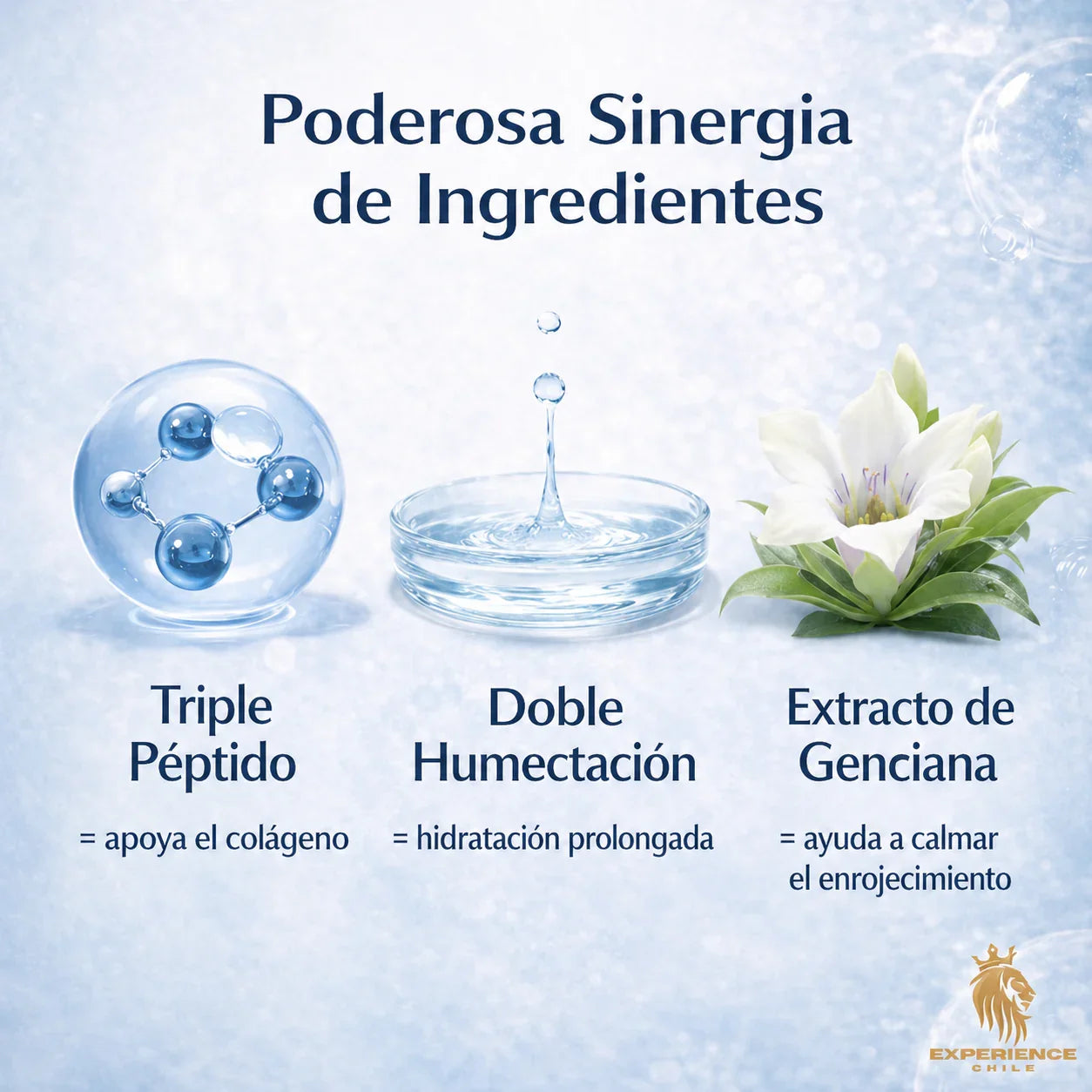ffdd8f98-5120-44cb-8c80-2663148a6239089649 - CHILE EXPERIENCIA