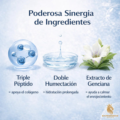 ffdd8f98-5120-44cb-8c80-2663148a6239089649 - CHILE EXPERIENCIA